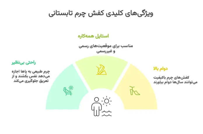 اینفوگرافیک ویژگی های کفش تابستانی